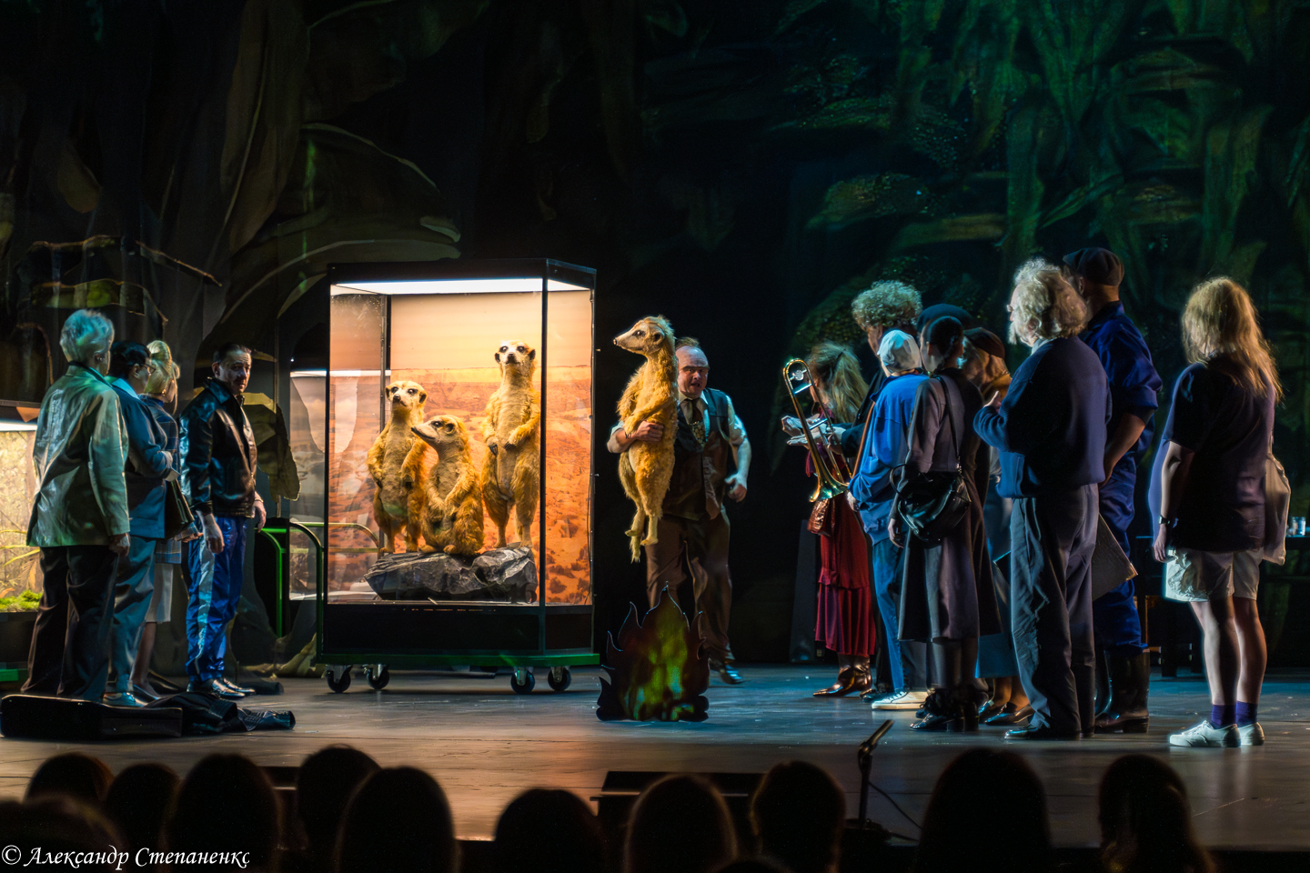 DSC09281-Улучшено-Ум. шума