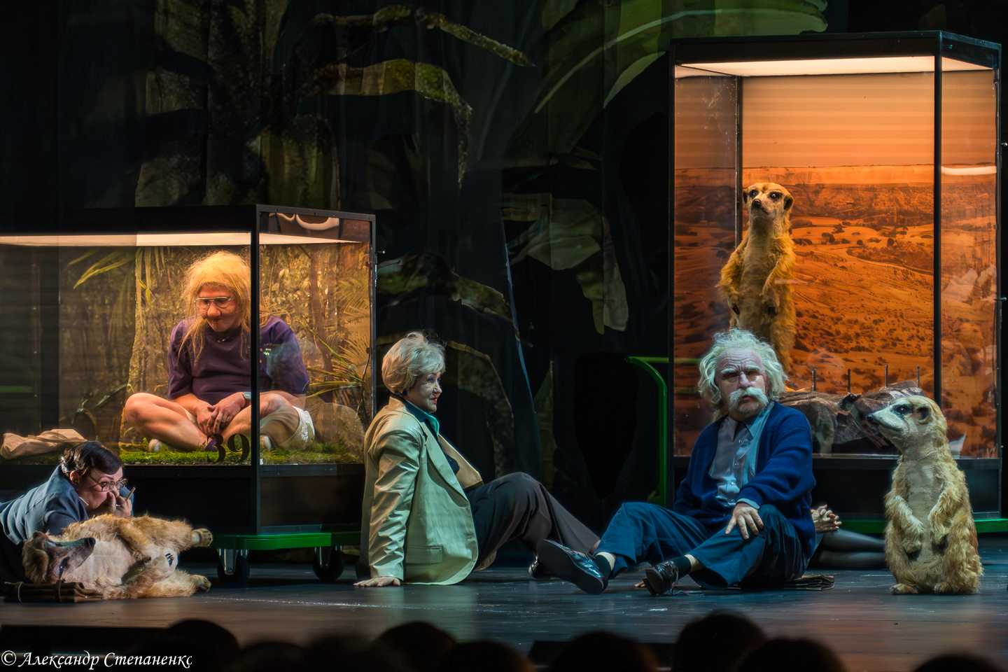 DSC09303-Улучшено-Ум. шума