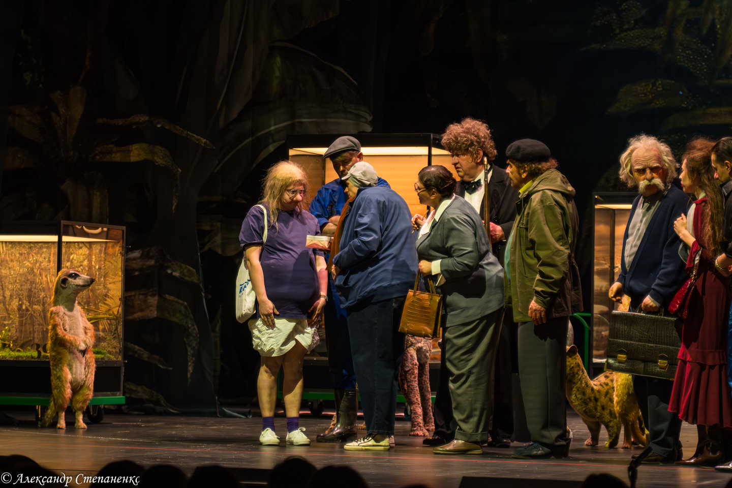 DSC09356-Улучшено-Ум. шума